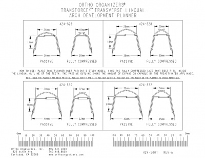 Transverse Arch Development Planner Qty. 1